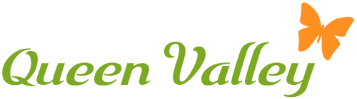 Logo Queen Valley